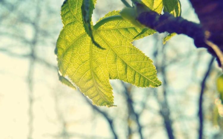 How the UK Tax Allowance Works for Rental Income