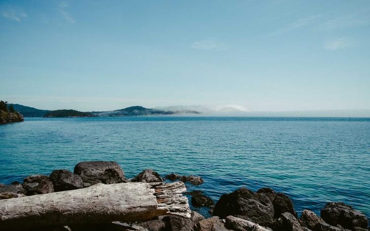 What Is the Trust Registration Service (TRS) in the UK?