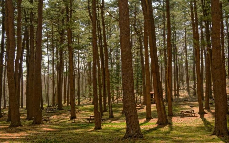 What Is the UK Pension Tax Relief and How to Maximise It?