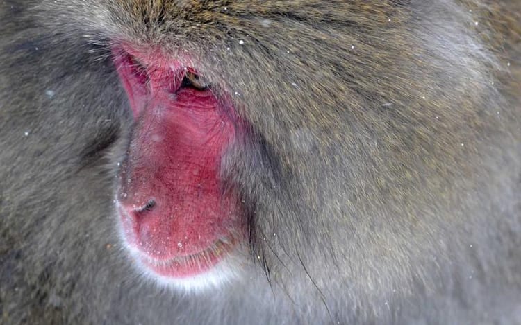 How to Register for Self-Assessment with HMRC