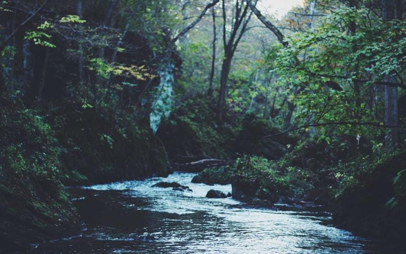 How to Handle HMRC Investigations and Tax Enquiries