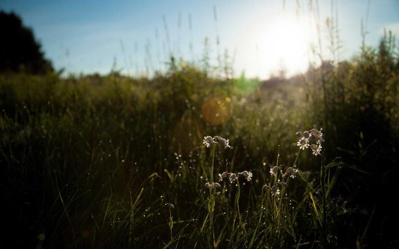 What Is Basis Period Reform and How Does It Affect Sole Traders?