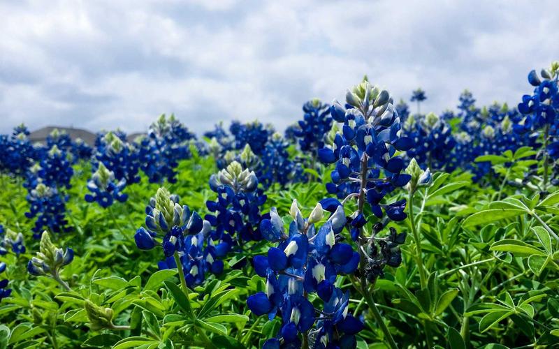 How to Claim Mileage Expenses as a UK Self-Employed Person